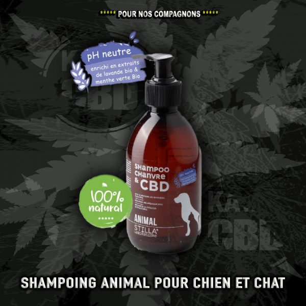 Shampoing CBD animaux