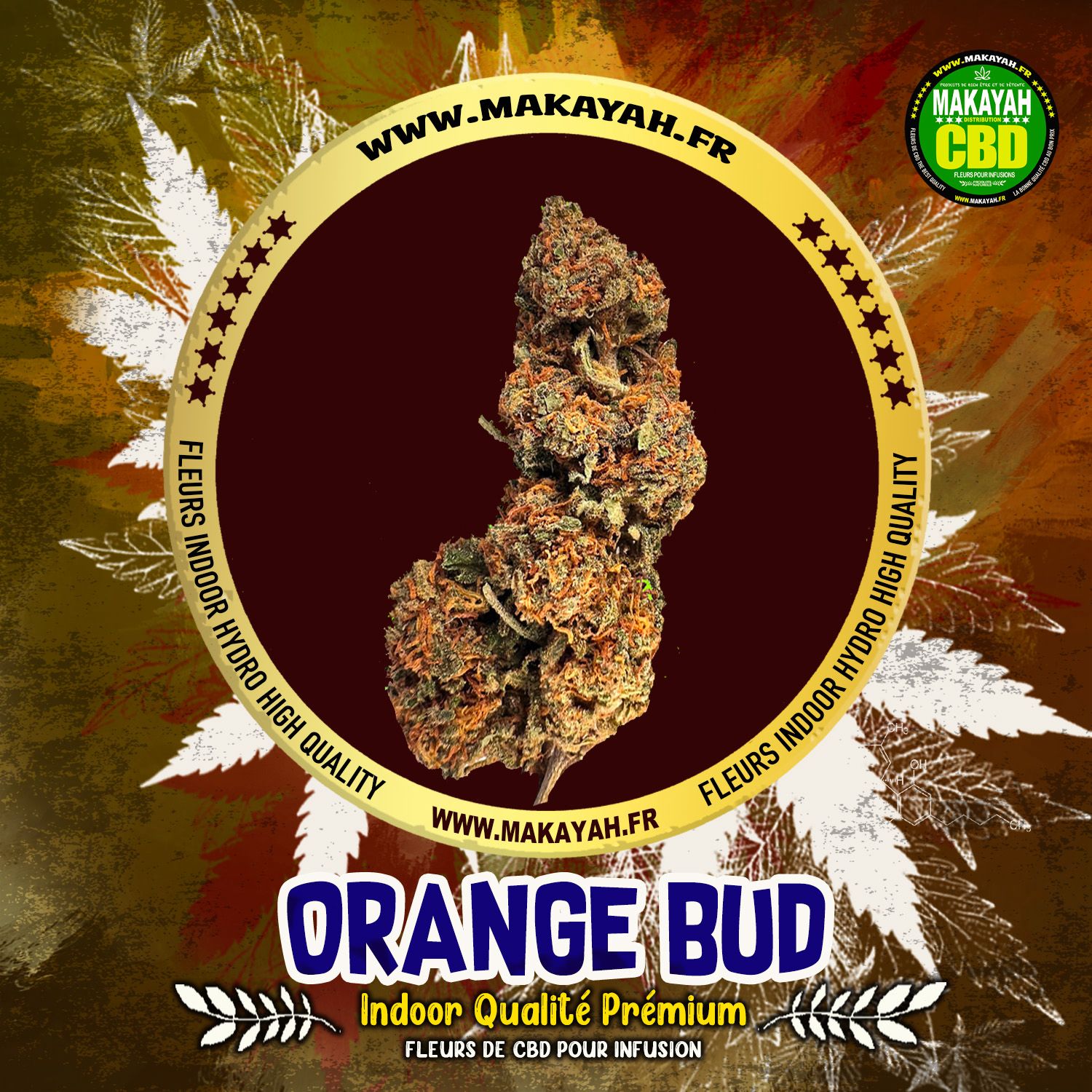 ORANGE BUD Indoor Qualité Premium  ***** 2,50€/g