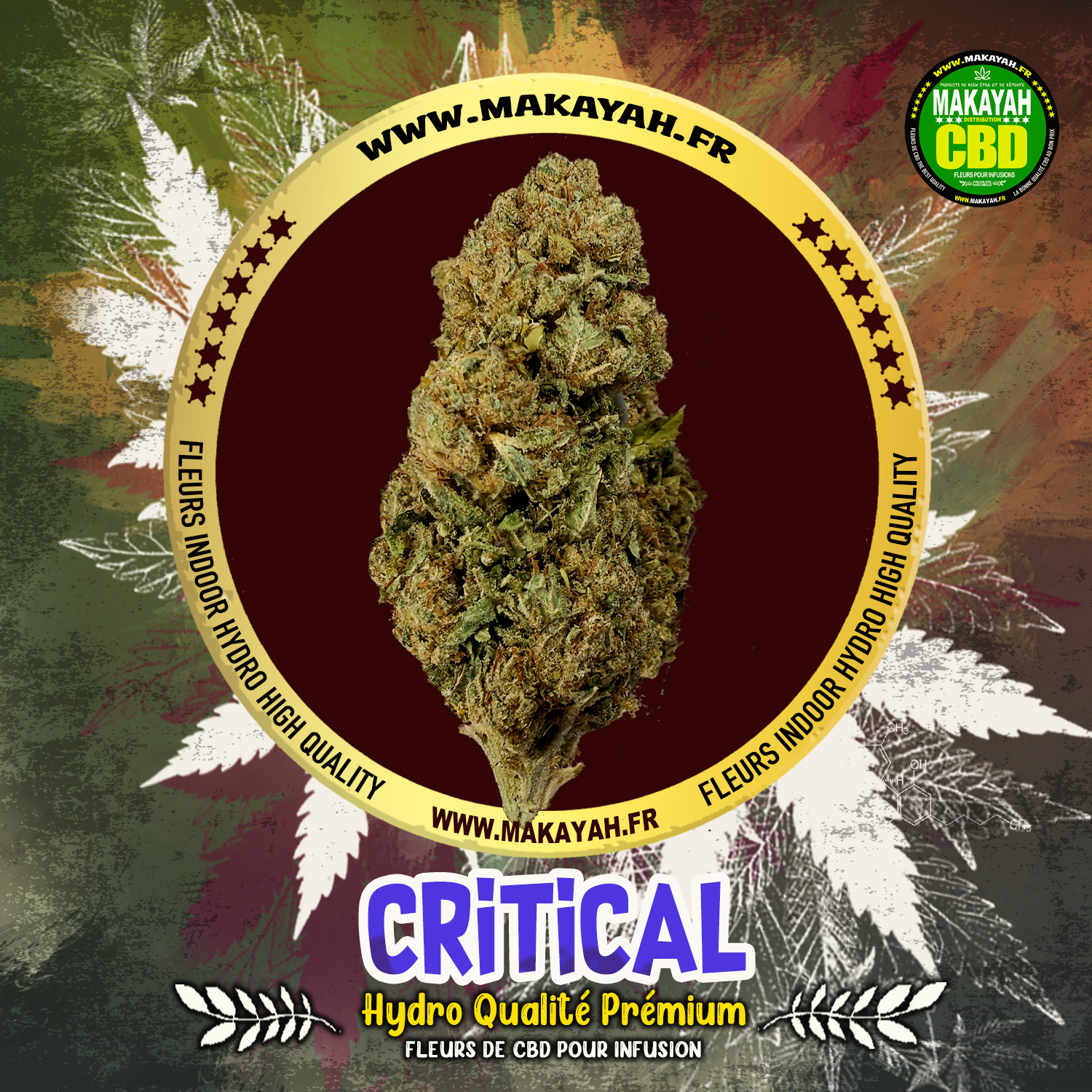 CRITICAL hydro Qualité Prémium ***** 2,24€/g au lieu de 3,20€/g