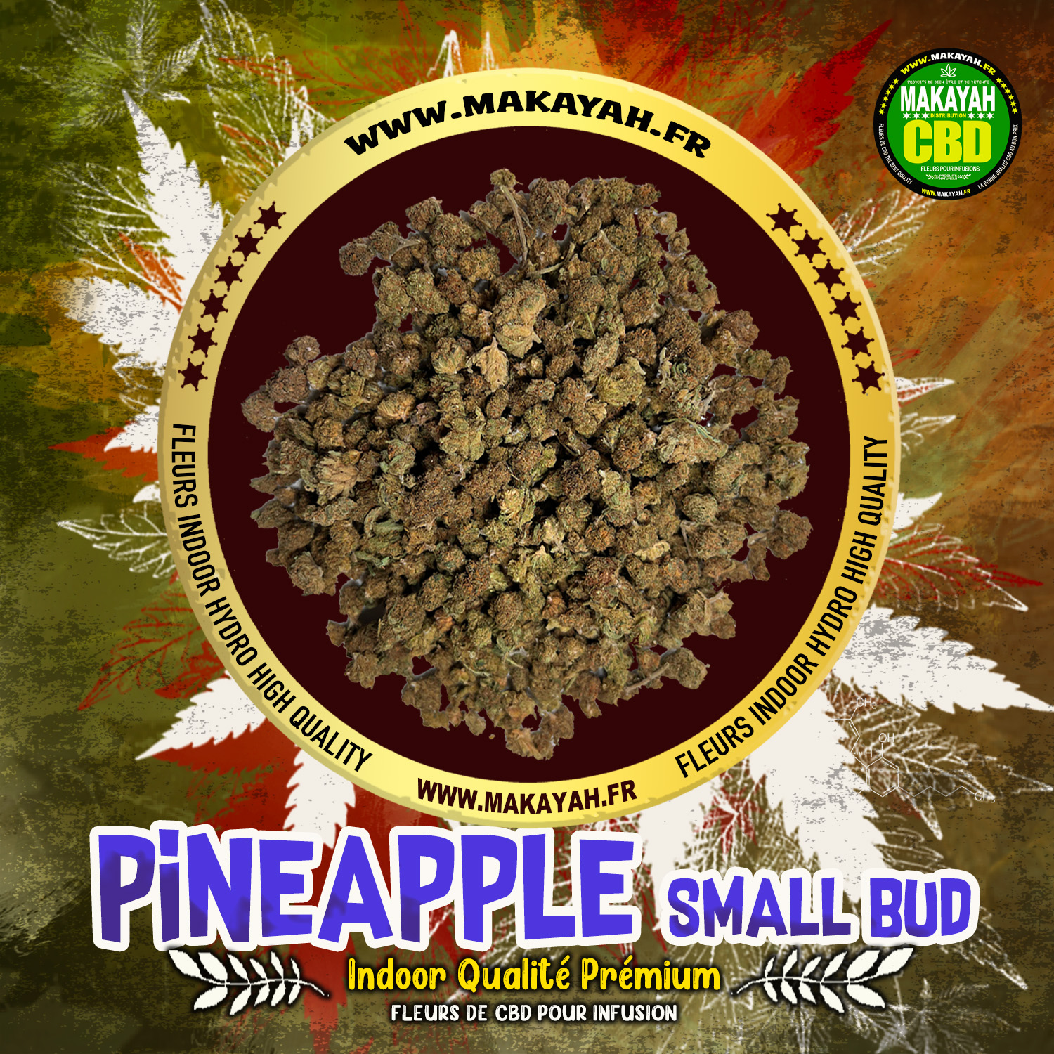 PINEAPPLE Small Bud Indoor Qualité Premium ***** 1€